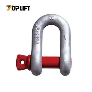 G210 Anchor Shackle