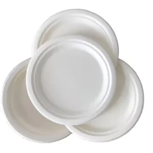 Biodegradable Bagasse Plates 10 Inch Disposable Sugarcane Dish For Zero Waste Parties Sustainable Catering
