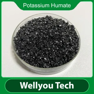 Leonardite Source Humic Acid/ Potassium Humate Organic Fertilizer Wellyou Tech