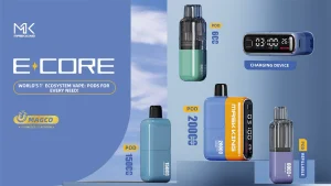 25000 Puffs Pod System