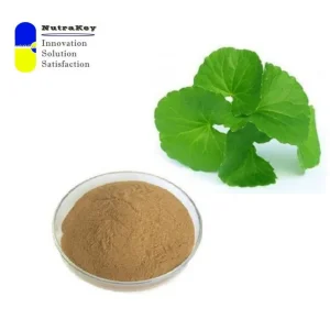 Premium Gotu Kola Extract Powder 10% Triterpenes