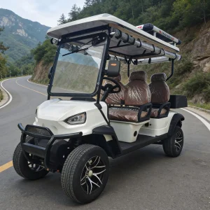 Off-Road 6-Seater Golf Cart Heavy-Duty Tires