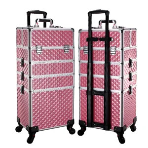 Professional Train Case