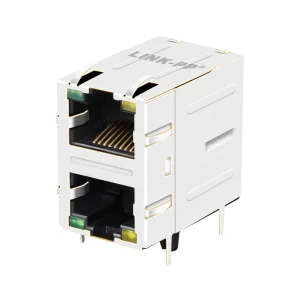1000 Base-T 2X1 Port