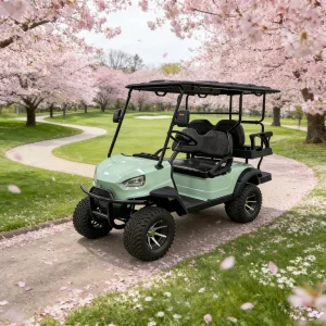 High-End 4 Seats Electric Lifted Golf Cart for Luxury Resorts and Courses
