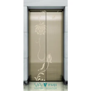 Vvvf 0.4m/S 450kgs Cheap Small Villa Panoramic Lift Door