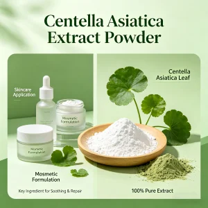Centella Asiatica Extract Powder