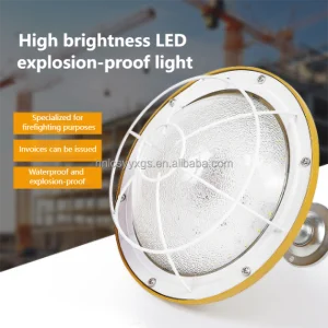 Hot Selling IP65 LED Explosion-Proof Lights for Coal Mining Dust Workshops Chemical Plants Flammable &amp; Explosive Spaces