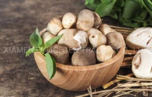 Instant Canned Food Well Preserved and Vacation Nessary Strawmushroom