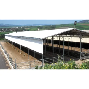 High-quality Low-cost Modern Prefabricated Steel Structure Cowshed With 1 Year Warranty