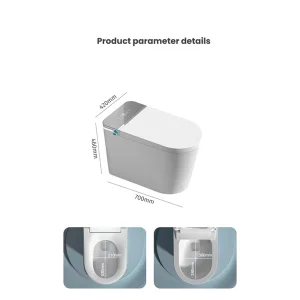 Tankless Bidet Intelligent Control LED Water Saving Smart Toilet