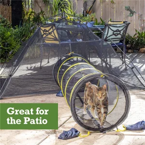 Cat Tunnel
