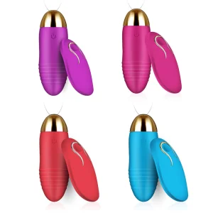Remote Control Love Egg