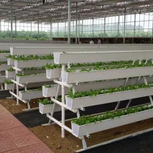 Manufacturer Hydroponic Manufacturing Strawberry Gutter Smart Farm Seedling Substrate Growing Vegetables Hydroponic Farm