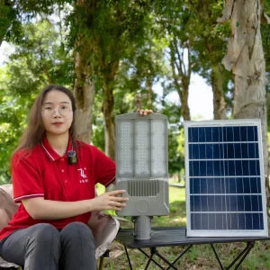 High Quality Split LED Solar Street Light Outdoor Waterproof Installation Height 4-12m