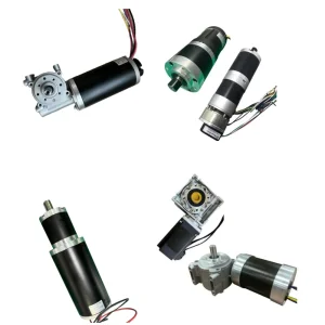 BLDC Gear Motor