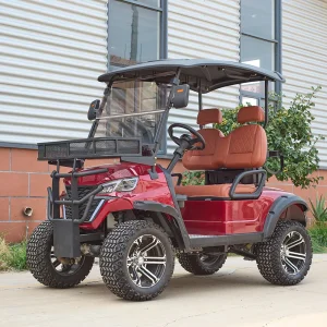 Custom Confortable 2 Seats 48V Electric Luxury Golf Cart