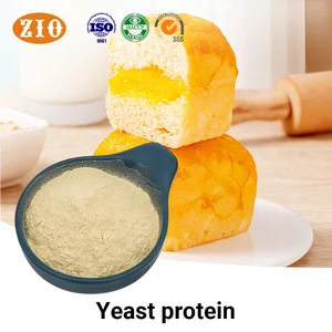 Food Grade Yeast Protein With Most Essential Amino Acids Raw Material For Vegan Healthy Food Production