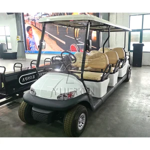 Luxury Electric Sightseeing Car