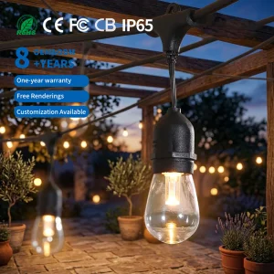 Black Event Camp IP65 Waterproof Outdoor Festoon LED Decorative String
