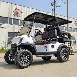 SEEWORLD CE Certified New Energy Mini 4 Seats Electric Golf Cart with 48V 150Ah Battery 30-50Km/h Speed Hot Sale in Egypt