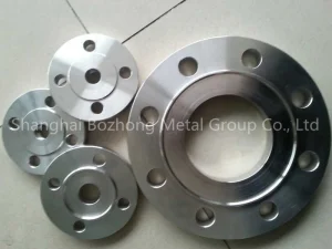 S31254 Flange