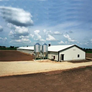 Modern Fully-Automated Poultry Farm Chicken House