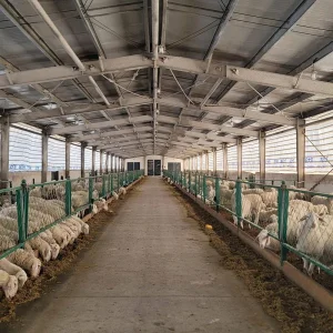 Philippines Supplier Prefab Steel Frame