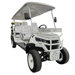 72V Lithium Battery Golf Cart with Solar Panels