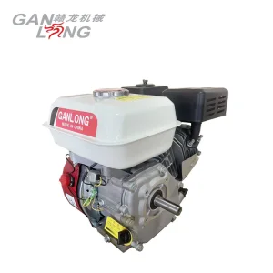 Motor a Gasolina com Arranque Manual