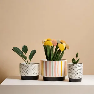 Wholesale Ceramic Indoor Pots with Motivational Multi-Color Decals – Customizable Planters VDLK2403389 Manufacturers, Factory