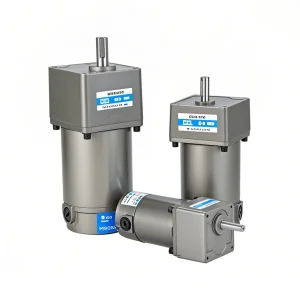 Gear Reduction Motor