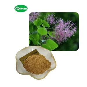Fisetin Powder