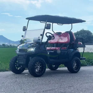 Novo Design Carrinho de Utilidade a Gasolina 6 Passageiros