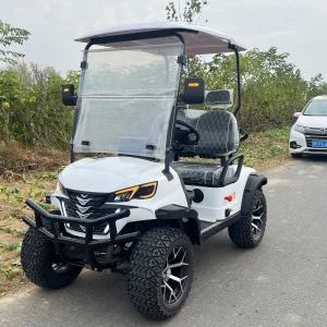 Chinese Small Mini Golf Cart Club 2 Passenger