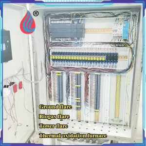 Customizable DCS PLC