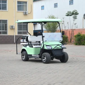 2025 Customized Cargo Carts Delivery Service Logistics Electric Scooters Enclosed Trunk Golf Cart City Drive