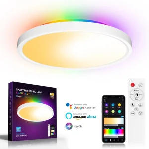 Ultra Slim RGBIC Smart LED Ceiling Light