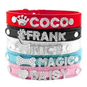 Coleira de Pet com Strass