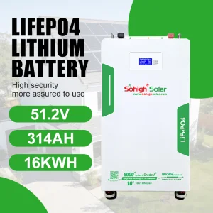 High Quality Longer Lifetime LiFePO4 314Ah 51.2V 16kWh Lithium Battery BMS for Hybrid Wall-Mounted Residential Solar Energy