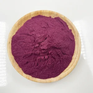 Food Grade Vegetable Powder Natural Anthocyanins Black Elderberry Fruit Extract Powder Elderberry Fruit Powder