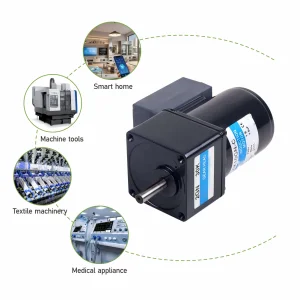 Compact 2RK10GN Induction Motor