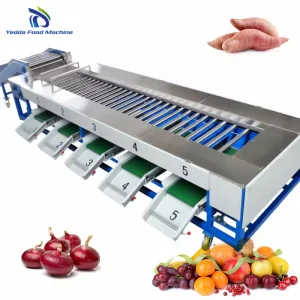 Dynamic Fruit and Vegetable Grading System