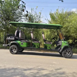 Gas Golf Cart