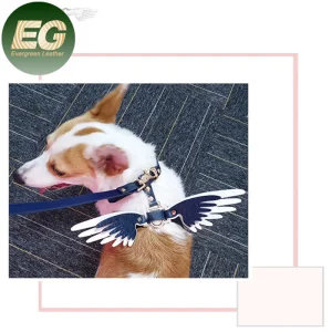 Designer Charm Dog Collar