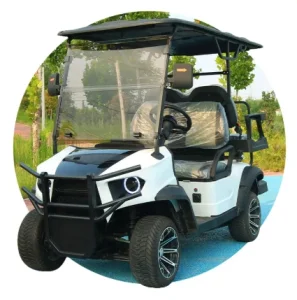 Carrinhos de Golfe Elétricos de Marca 2+2 Assentos