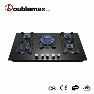 Gas Stove