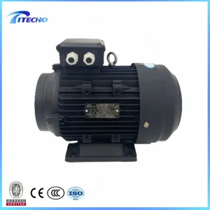 2.2kw 4kw 5.5kw 7.5kw 11kw 15kw 18.5kw Motor de Eje Hueco de Doble Rodamiento para Bomba Italiana 24mm