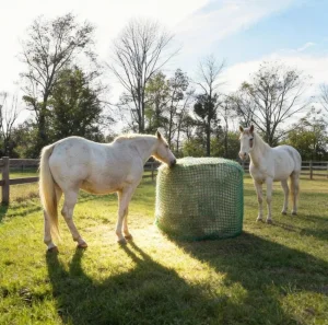 Commercial Horse Hay Net Slow Feeder for Large Square Bales Heavy PP Webbing Custom Sizes Available for Farm