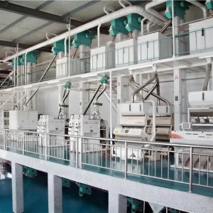 MCHJ100-3 300tpd Planta de Molienda de Arroz Eficiente para un Procesamiento Rápido de Granos de Arroz